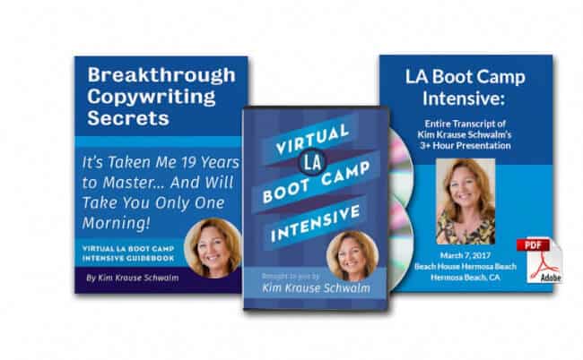 Virtual LA Boot Camp Intensive – Kim Krause Schwalm