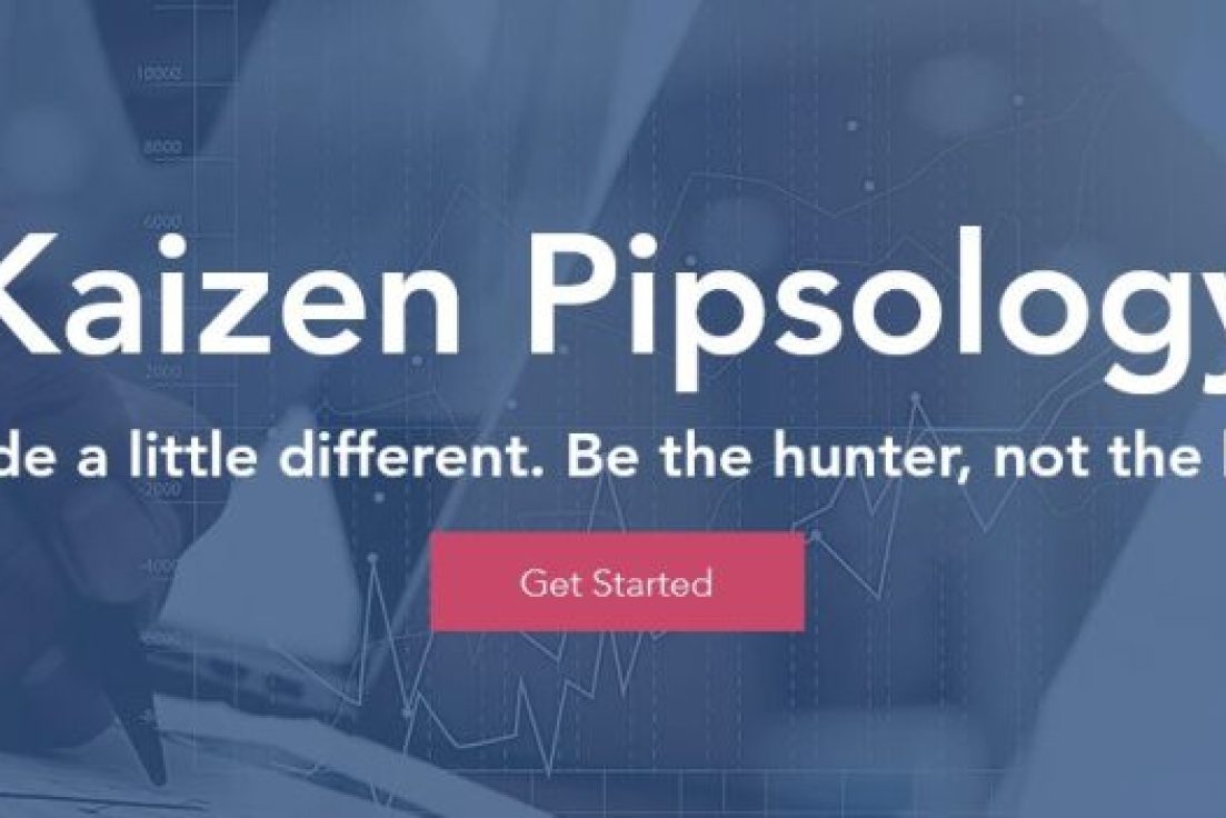 Kaizen Pipsology